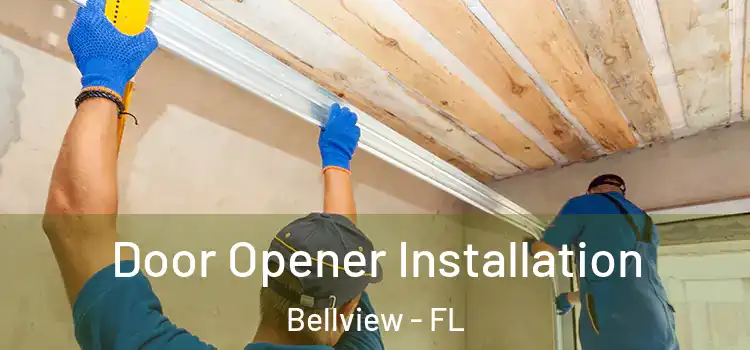  Door Opener Installation Bellview - FL