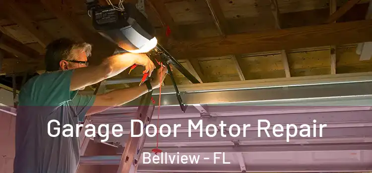  Garage Door Motor Repair Bellview - FL