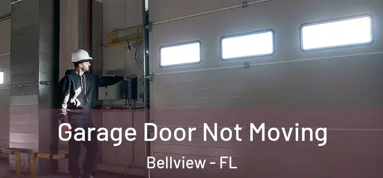  Garage Door Not Moving Bellview - FL