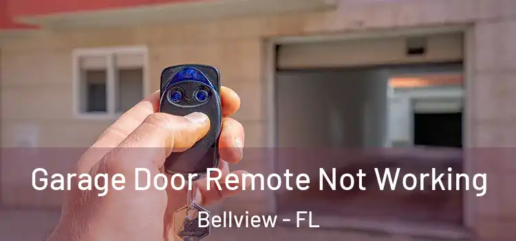  Garage Door Remote Not Working Bellview - FL