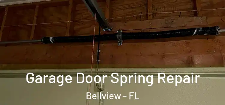  Garage Door Spring Repair Bellview - FL
