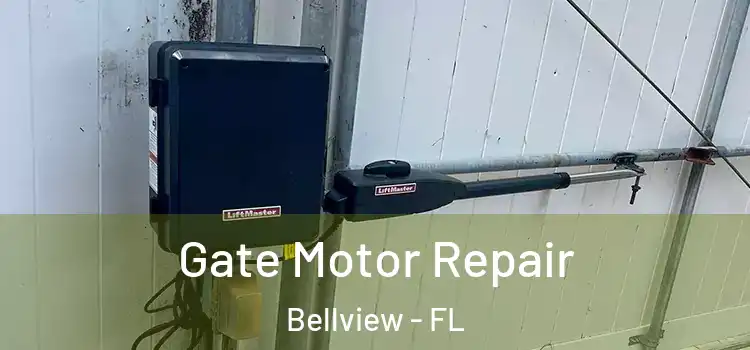Gate Motor Repair Bellview - FL