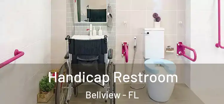  Handicap Restroom Bellview - FL
