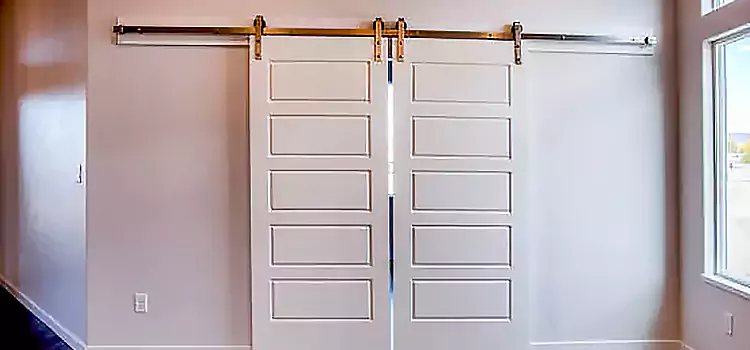 Glass Barn Door with Installation Hardware Kit Bellview