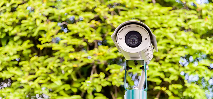 Advanced Surveillance Solutions for Every Need in Bellview