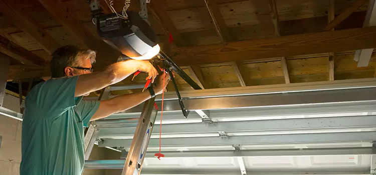 Garage Door Opener Sales and Installation Bellview