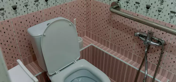 Meeting Diverse Needs With Accessible Restroom Solutions in Bellview, FL