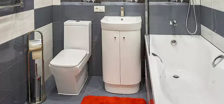 Hansgrohe Shaving Mirror Bellview