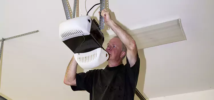 Garage Door Opener Service Bellview