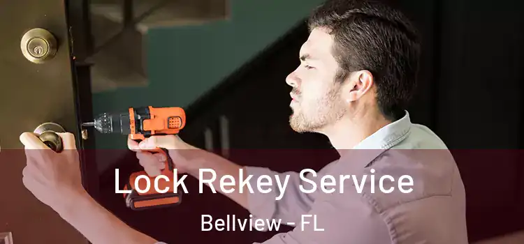 Lock Rekey Service Bellview - FL