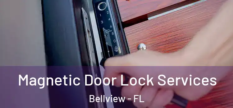 Magnetic Door Lock Services Bellview - FL