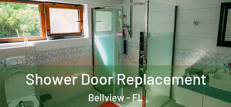 Shower Door Replacement Bellview - FL